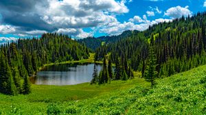 Preview wallpaper lake, meadow, trees, forest, landscape