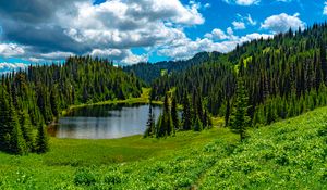 Preview wallpaper lake, meadow, trees, forest, landscape