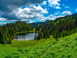 Preview wallpaper lake, meadow, trees, forest, landscape