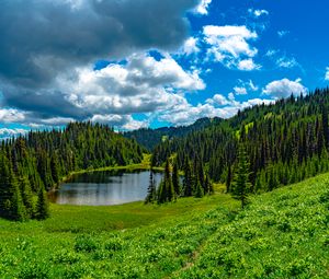 Preview wallpaper lake, meadow, trees, forest, landscape