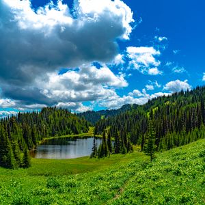 Preview wallpaper lake, meadow, trees, forest, landscape