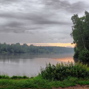 Preview wallpaper lake, morning, cloudy, trees, coast, nettle