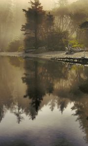 Preview wallpaper lake, morning, sunlight, beams, fog