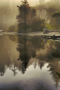 Preview wallpaper lake, morning, sunlight, beams, fog