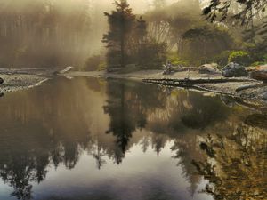 Preview wallpaper lake, morning, sunlight, beams, fog