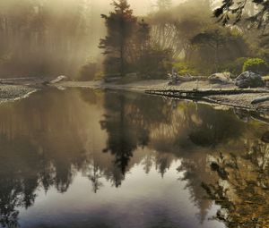 Preview wallpaper lake, morning, sunlight, beams, fog