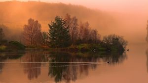 Preview wallpaper lake, morning, swimming, duck, fog, dawn, cool, trace, smooth surface, island, trees