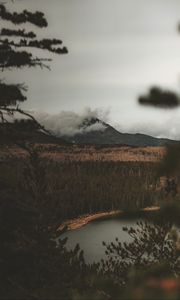Preview wallpaper lake, mountain, fog, branches, aerial view, clouds