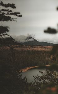 Preview wallpaper lake, mountain, fog, branches, aerial view, clouds