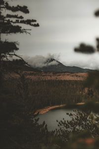 Preview wallpaper lake, mountain, fog, branches, aerial view, clouds