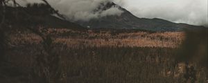 Preview wallpaper lake, mountain, fog, branches, aerial view, clouds