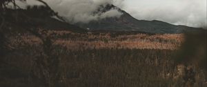 Preview wallpaper lake, mountain, fog, branches, aerial view, clouds