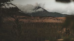 Preview wallpaper lake, mountain, fog, branches, aerial view, clouds
