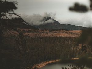 Preview wallpaper lake, mountain, fog, branches, aerial view, clouds