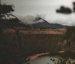 Preview wallpaper lake, mountain, fog, branches, aerial view, clouds