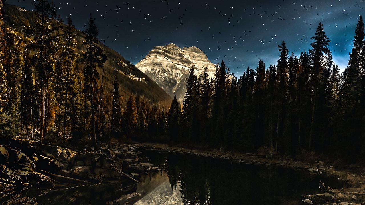 Wallpaper lake, mountain, forest, night, landscape