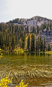 Preview wallpaper lake, mountain, forest, autumn landscape