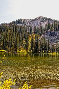 Preview wallpaper lake, mountain, forest, autumn landscape