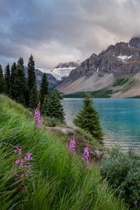 Preview wallpaper lake, mountain, shore, landscape, nature