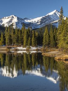 Preview wallpaper lake, mountain, shore, trees, landscape, canada