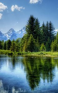 Preview wallpaper lake, mountain, tree, water, landscape