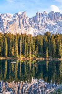 Preview wallpaper lake, mountain, trees, peaks, sky, reflection