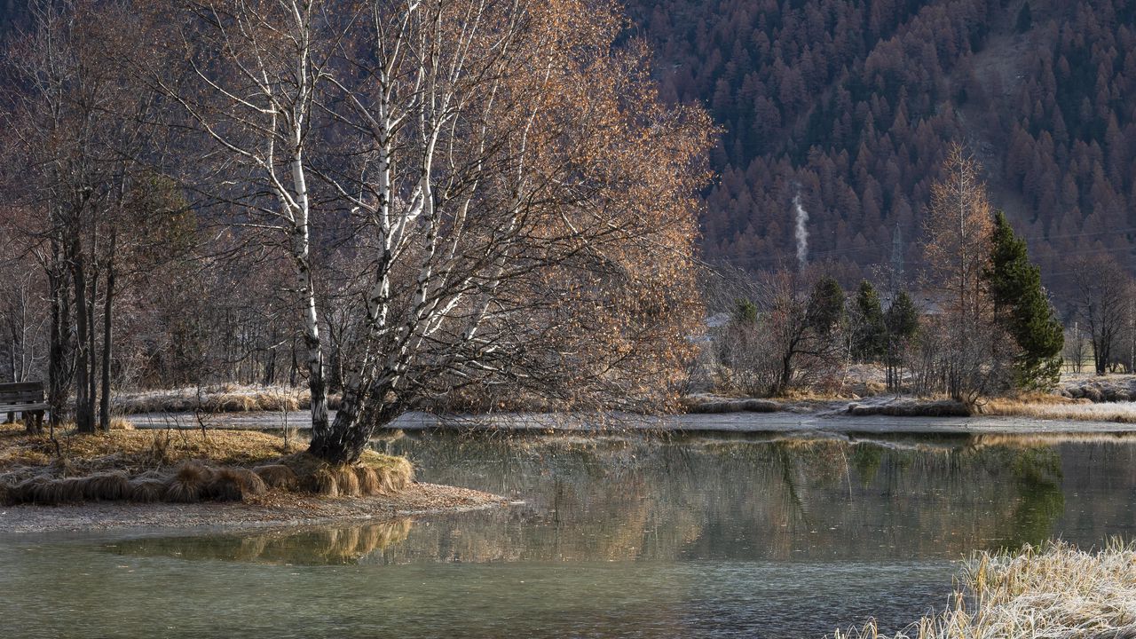 Wallpaper lake, mountain, trees, water, nature