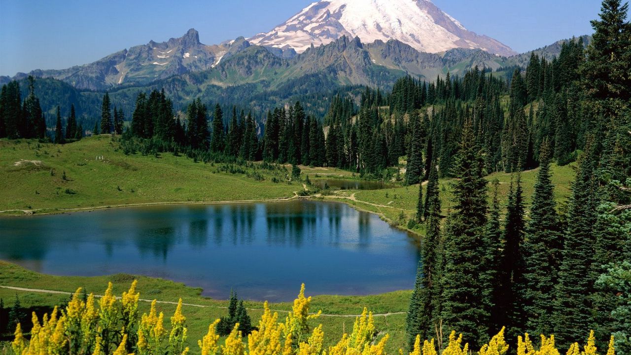 Wallpaper lake, mountains, alpes, trees, top, meadow, flowers