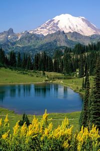 Preview wallpaper lake, mountains, alpes, trees, top, meadow, flowers