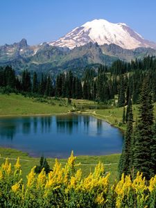 Preview wallpaper lake, mountains, alpes, trees, top, meadow, flowers