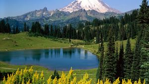 Preview wallpaper lake, mountains, alpes, trees, top, meadow, flowers