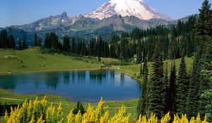 Preview wallpaper lake, mountains, alpes, trees, top, meadow, flowers