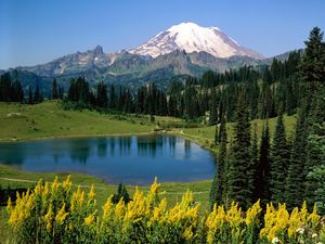 Preview wallpaper lake, mountains, alpes, trees, top, meadow, flowers