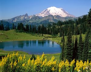 Preview wallpaper lake, mountains, alpes, trees, top, meadow, flowers