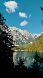 Preview wallpaper lake, mountains, branches, spruce, landscape