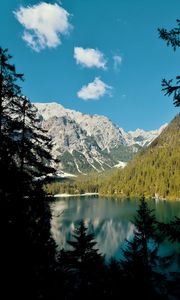 Preview wallpaper lake, mountains, branches, spruce, landscape