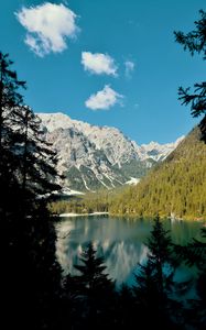 Preview wallpaper lake, mountains, branches, spruce, landscape