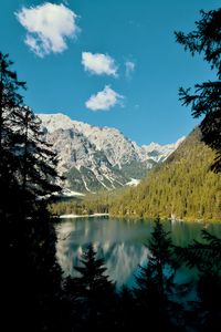 Preview wallpaper lake, mountains, branches, spruce, landscape