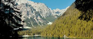 Preview wallpaper lake, mountains, branches, spruce, landscape