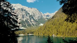 Preview wallpaper lake, mountains, branches, spruce, landscape