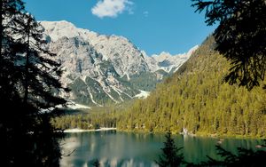 Preview wallpaper lake, mountains, branches, spruce, landscape