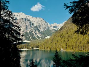 Preview wallpaper lake, mountains, branches, spruce, landscape