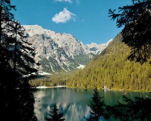 Preview wallpaper lake, mountains, branches, spruce, landscape