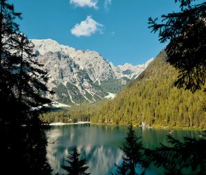 Preview wallpaper lake, mountains, branches, spruce, landscape