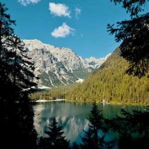 Preview wallpaper lake, mountains, branches, spruce, landscape