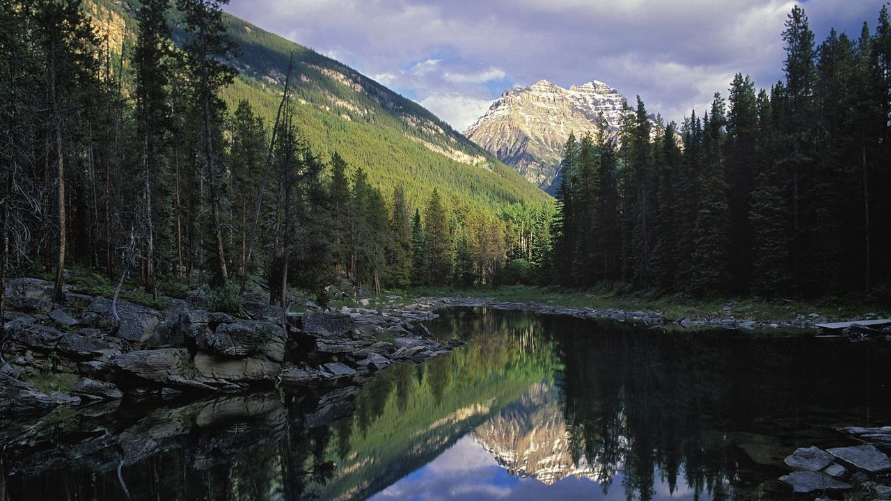 Wallpaper lake, mountains, fir-trees, coniferous, shadows, sunlight, horseshoe lake, jasper national park, canada