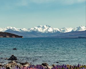 Preview wallpaper lake, mountains, flowers, shore, water, landscape