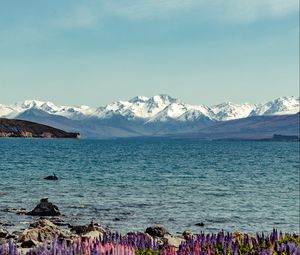 Preview wallpaper lake, mountains, flowers, shore, water, landscape