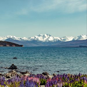 Preview wallpaper lake, mountains, flowers, shore, water, landscape