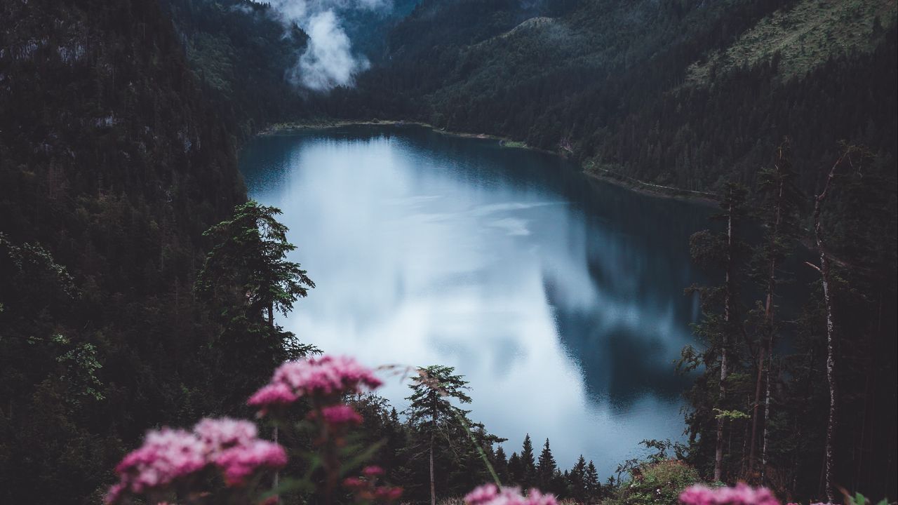 Wallpaper lake, mountains, fog, flowers, rocks